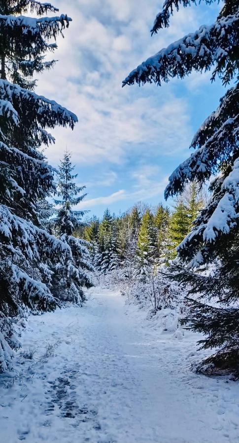 Apartman Lipno - Dve Zatoky Frymburk Dış mekan fotoğraf